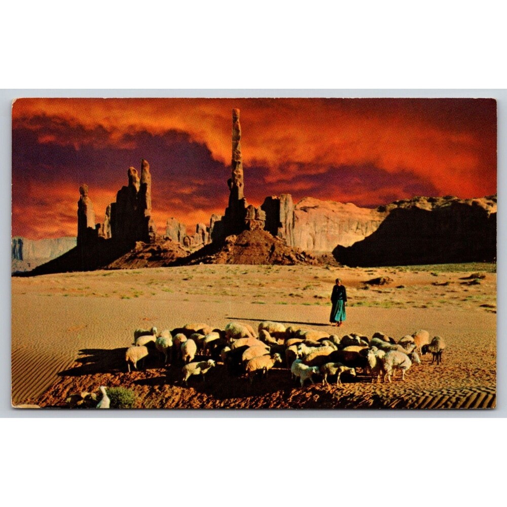 Postcard Arizona Monument Valley Navajo Woman Tending Sheep Unposted c1960s VTG